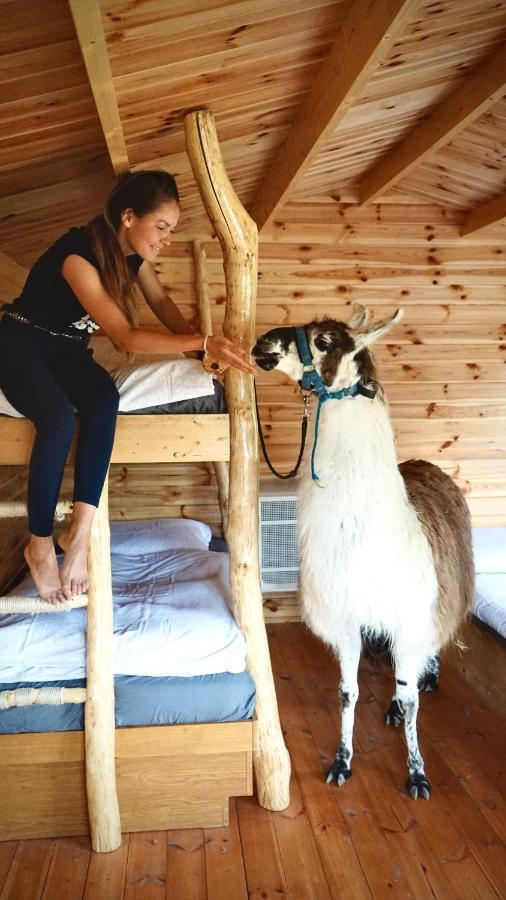 فيلا Cozy Wood Hut On The Farm Trebivlice المظهر الخارجي الصورة